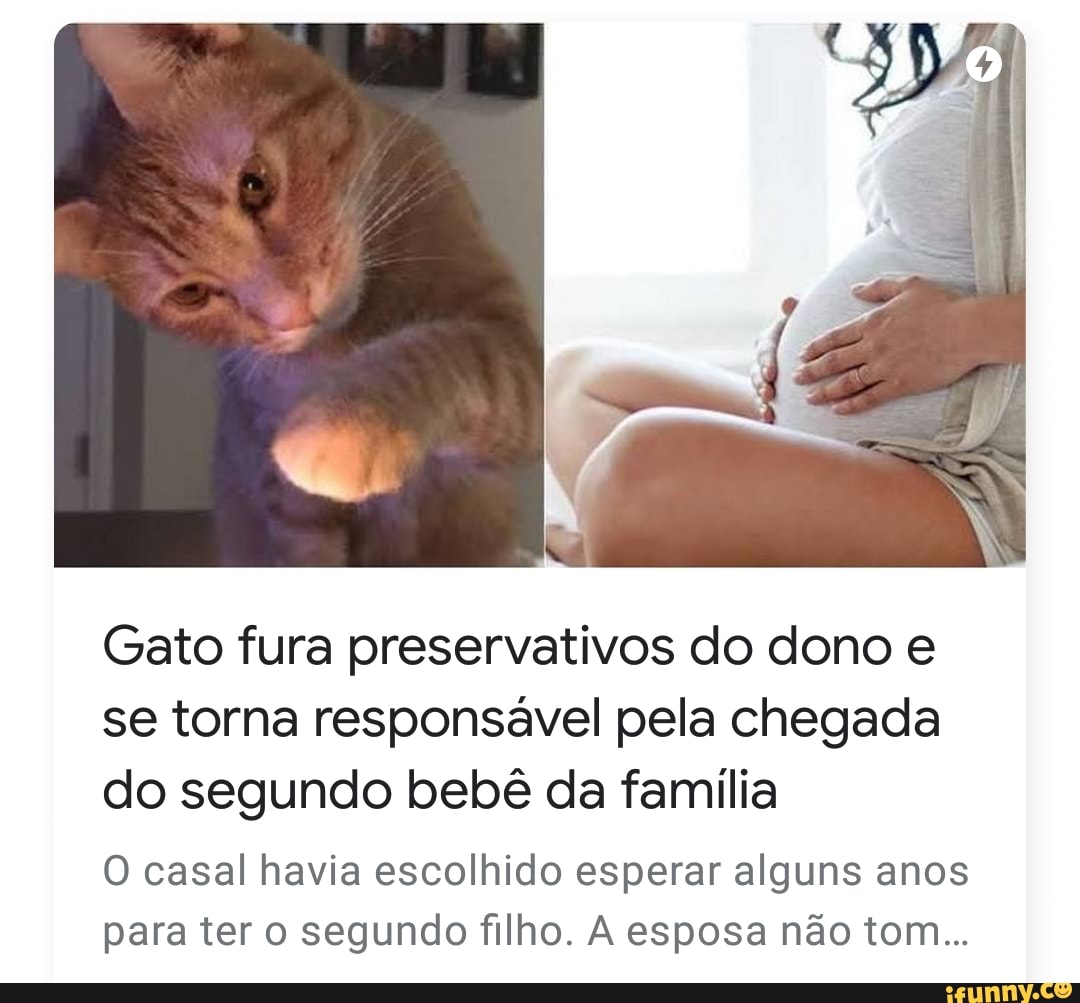 Gato fura preservativos do dono e
se torna responsável pela chegada
do segundo bebê da familia
O casal havia escolhido esperar alguns anos
para ter o segundo filho. A esposa não tom...