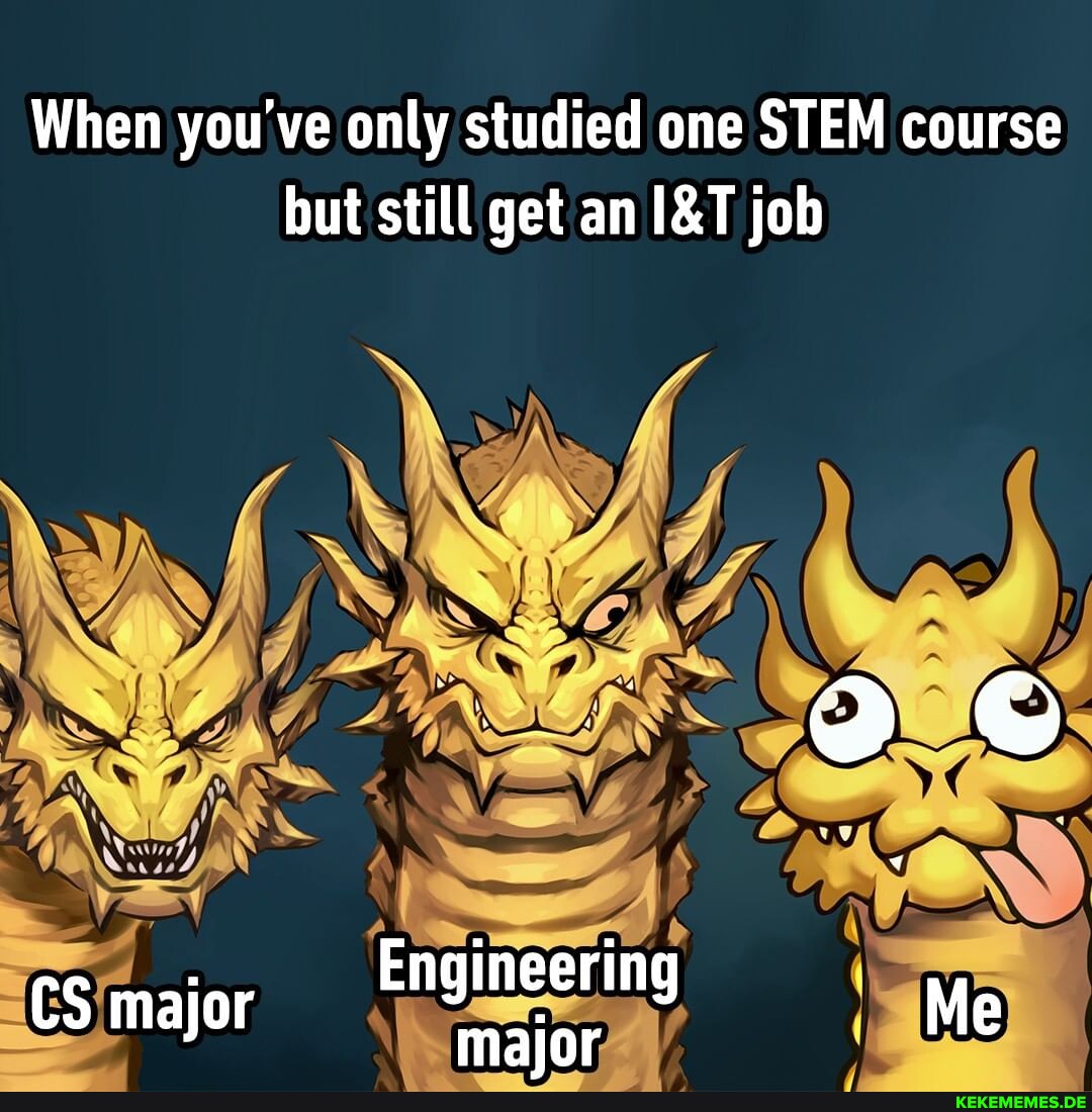 When you've only studied one STEM course but still get an job Engineering major 