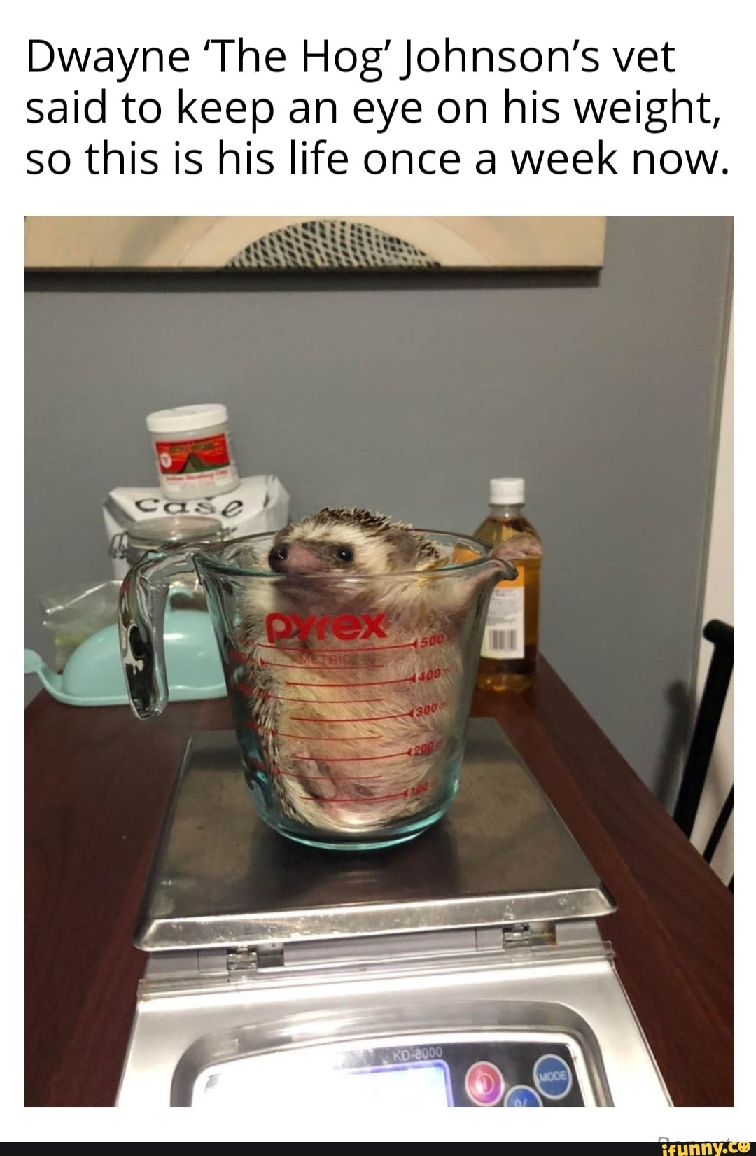 Dwayne 'The Hog' Johnson's vet
said to keep an eye on his weight,
So this is his life once a week now.