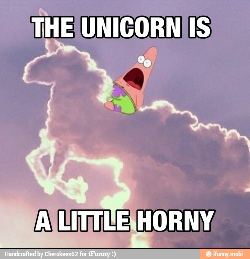 THE UNICORN IS