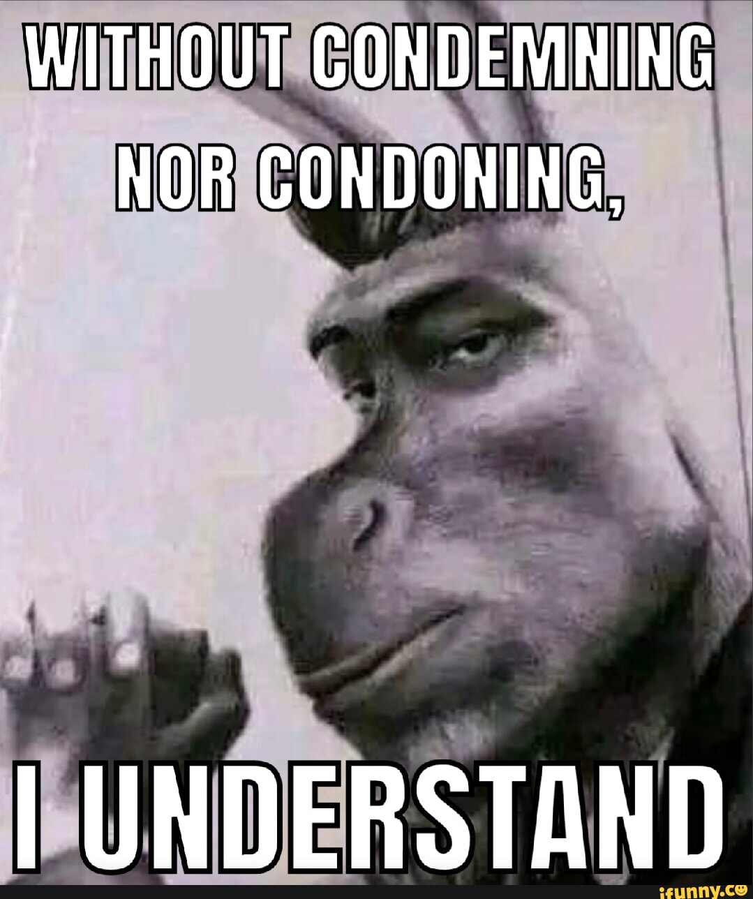 Condoning memes. Best Collection of funny Condoning pictures on iFunny