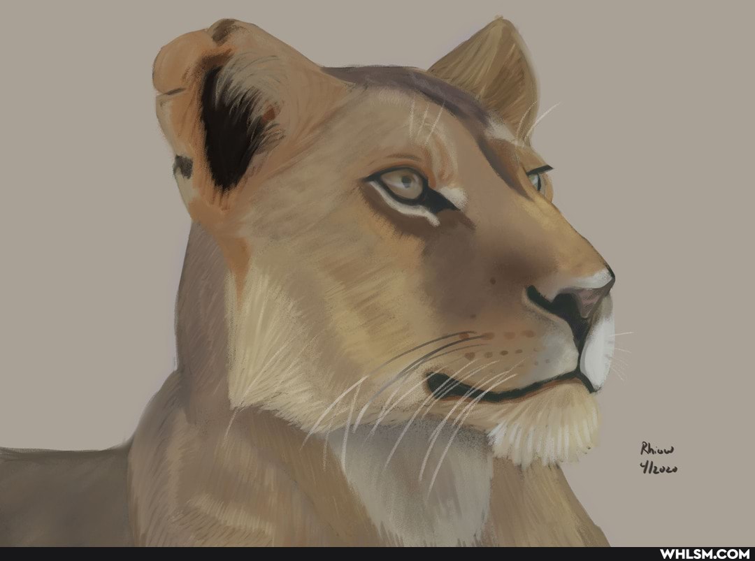 digital_painting, artcrawl2021, thiswilldieinusersub
