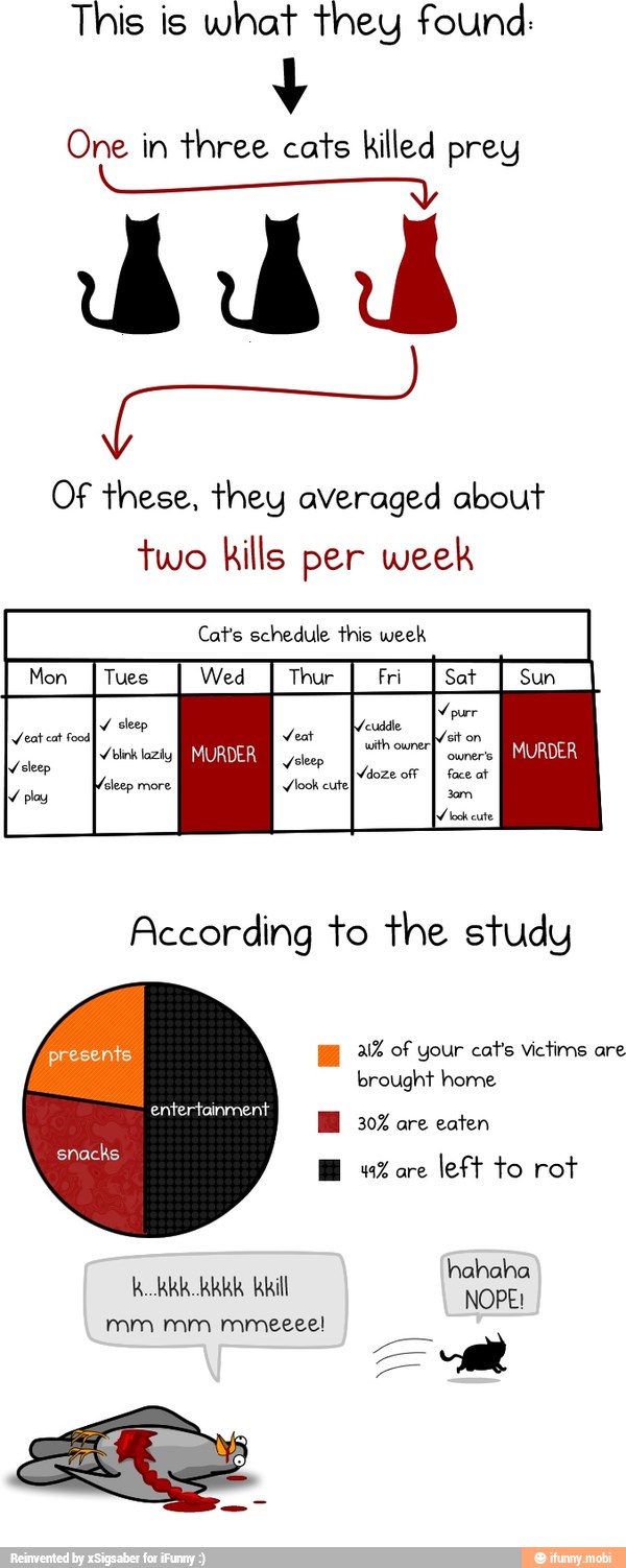 This is what they found:
y
Of these, they averaged about
two kills per week
Cat's schedule this week
According to the study
AS
snacks
[21% of your cat's victims are
brought home
30% are eaten
49% are
left to rot