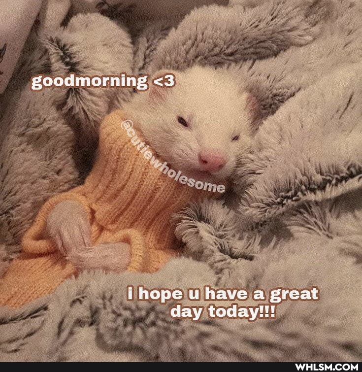 goodmorning <3
j hops u have a great day todayl!!