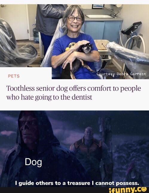 Toothless or dog offers comfort to people who hate going to the dentist
Dog
guide others to a treasure I cannot possess.