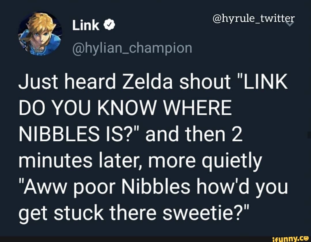 e @hylian_champion
Just heard Zelda shout "LINK
DO YOU KNOW WHERE
NIBBLES IS?" and then 2
minutes later, more quietly
"Aww poor Nibbles how'd you
get stuck there sweetie?"