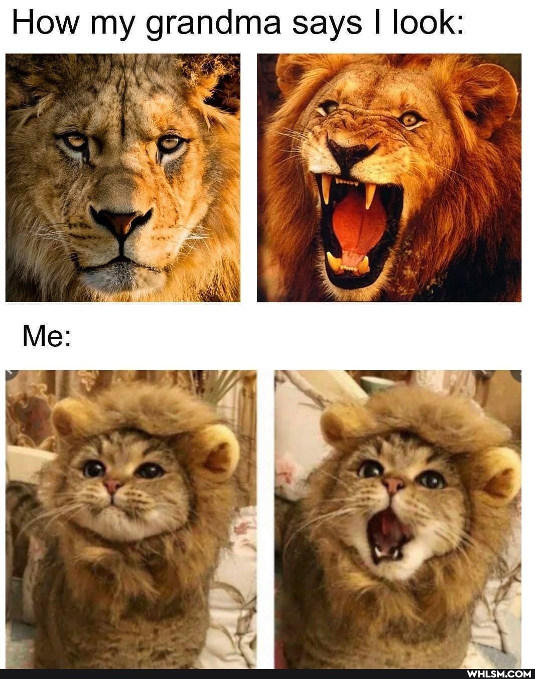 How my grandma says I look: