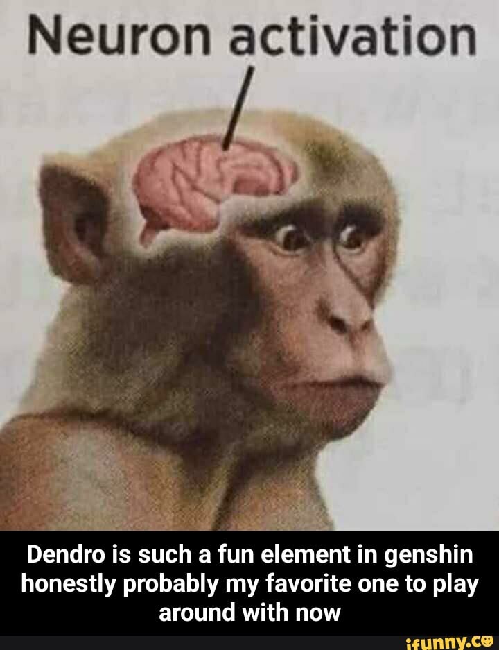 Dendro memes. Best Collection of funny Dendro pictures on iFunny