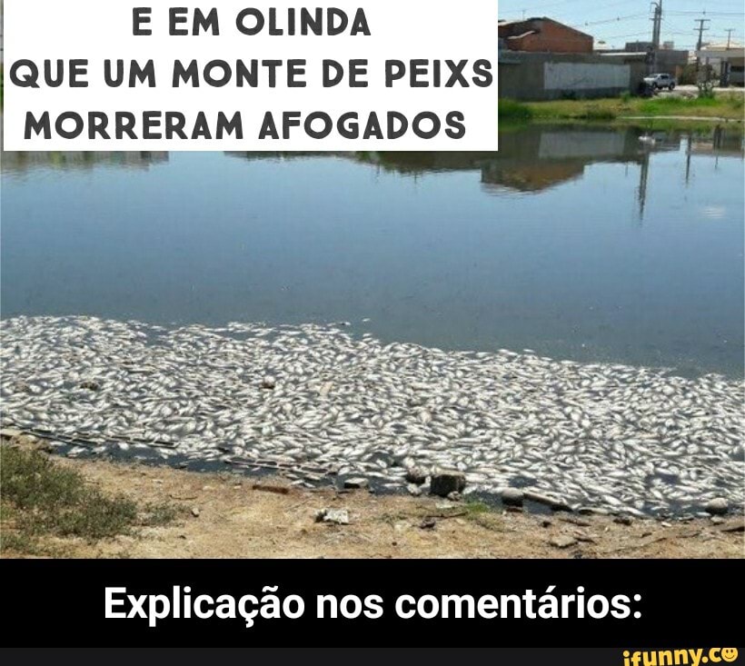E EM OLINDA
QUE UM MONTE DE PEIXS
I MORRERAM AFOGADOS
Explicação nos comentários: - Explicação nos comentários: