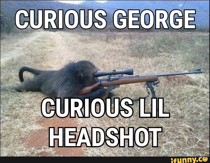 CURIOUS GEORGE
CURIOUS LiL HEADSHOT