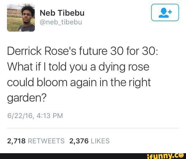 derrick rose 30 for 30