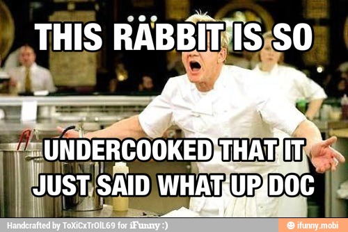 THIS RABBITJIS;SO