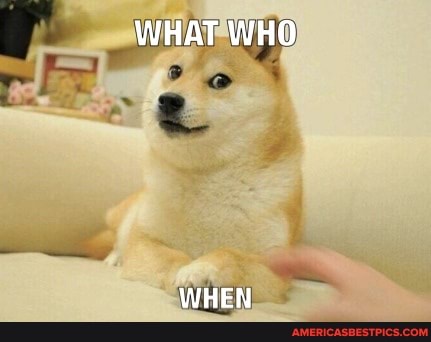 WHAT WHO
WHEN