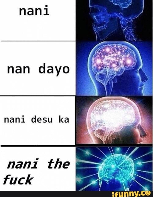 Nani Dayo Nani Desu Ka Nani The