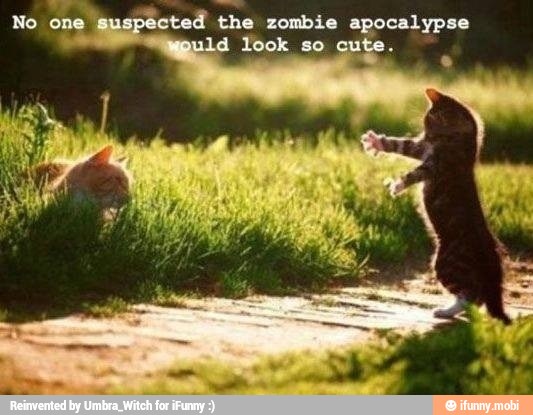 ted
the
zombie apocalypse
wild
look so