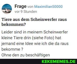 Frage von Maximilian50000 vor 9 Stunden
Tiere aus dem Scheinwerfer raus
bekommen?
Leider sind in meinem Scheinwerfer
kleine Tiere drin (siehe Foto) hat
jemand eine Idee wie ich die da raus
bekomme ?