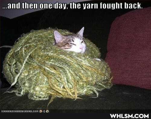 and then one day, the yarn fought back.
