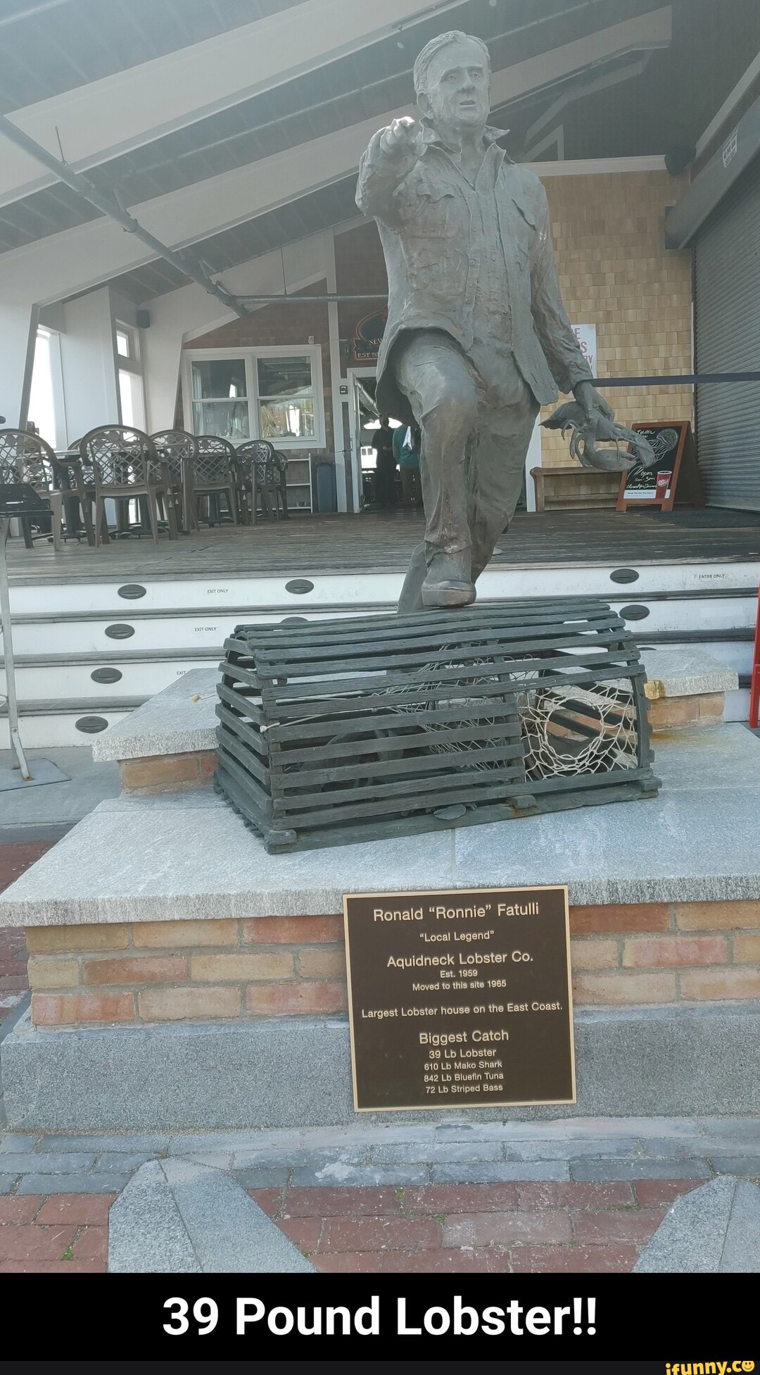Ronald "Ronnie" Fatulli
"Local Legend"
Aquidneck Lobster Co.
Est. 1959
Moved to this site 1965
I Largest Lobster house on the East Coast.
Biggest Catch
39 Lb Lobster
610 Lb Mako Shark
842 Lb Bluefin Tuna
72 Lb Striped Bass
39 Pound Lobster!! - 39 Pound Lobster!!