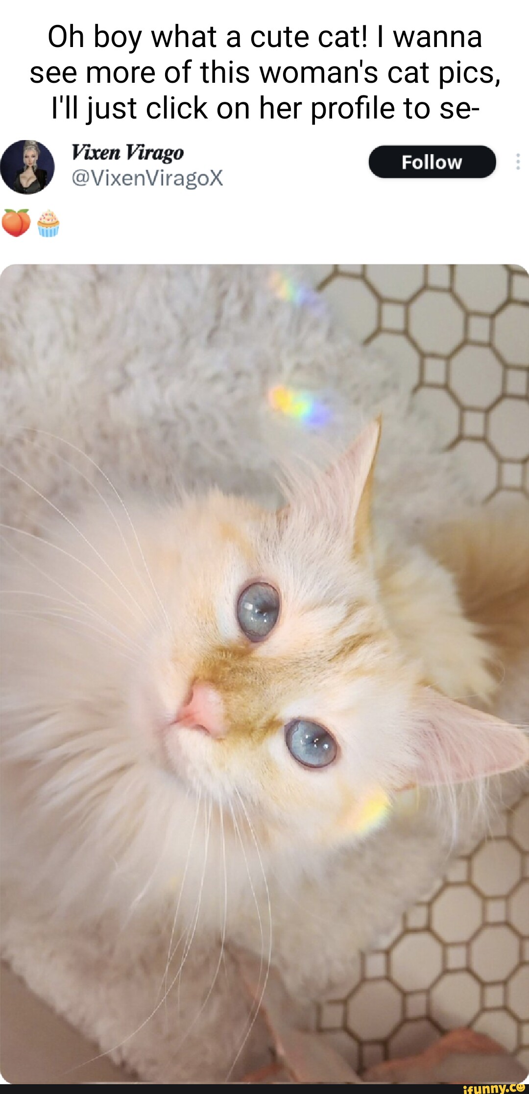 Vixen memes. Best Collection of funny Vixen pictures on iFunny