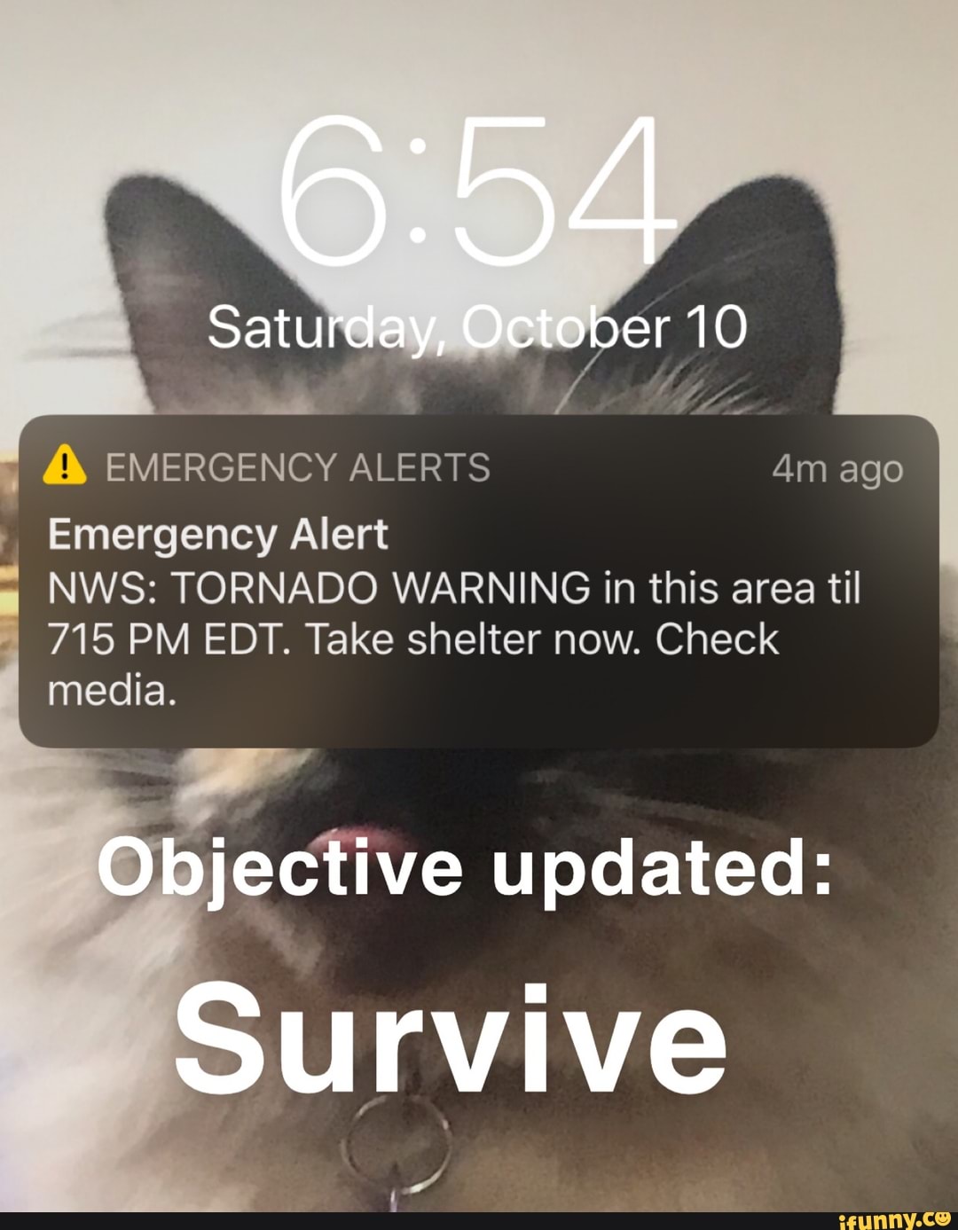 EMERGENCY ALERTS Emergency Alert
Saturday, October 10
NWS: TORNADO WARNING in this area til
PM
ago
715 PM EDT. Take shelter now. Check media.
Objective updated:
Survive