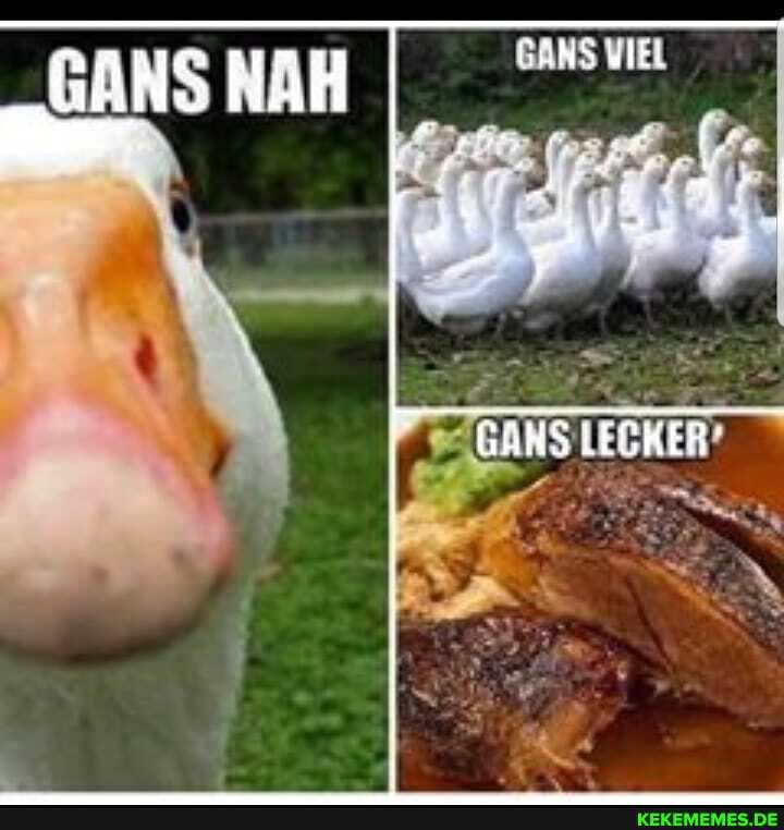 GANS NAH
GANS LECKER'