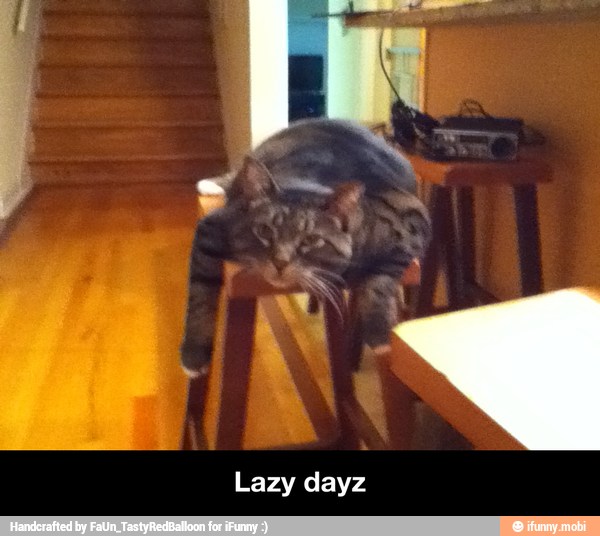 Lazy dayz - Lazy dayz