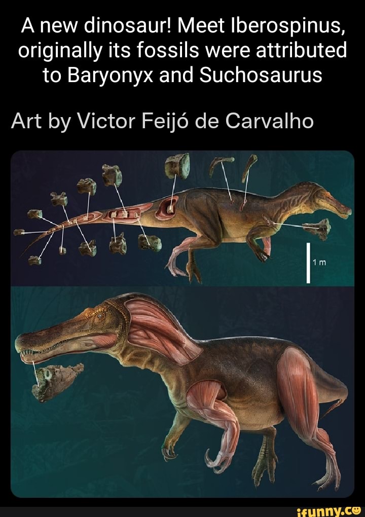 suchosaurus