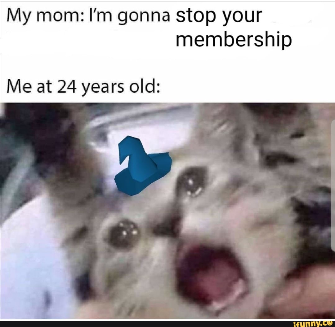 Sentences with reflexive pronouns. When i open. Song when i close my eyes. When i open. What i see when i close my eyes стих.