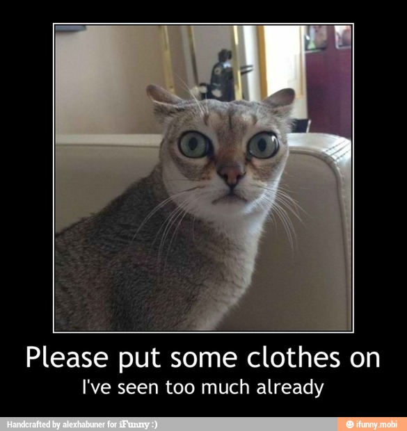 Please put some clothes on
I've seen too much already - Please put some clothes on
I've seen too much already