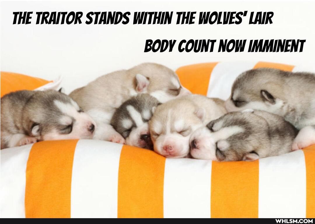 THE TRAITOR STANDS WITHIN THE WOLVES" LAIR BODY COUNT NOW IMMINENT