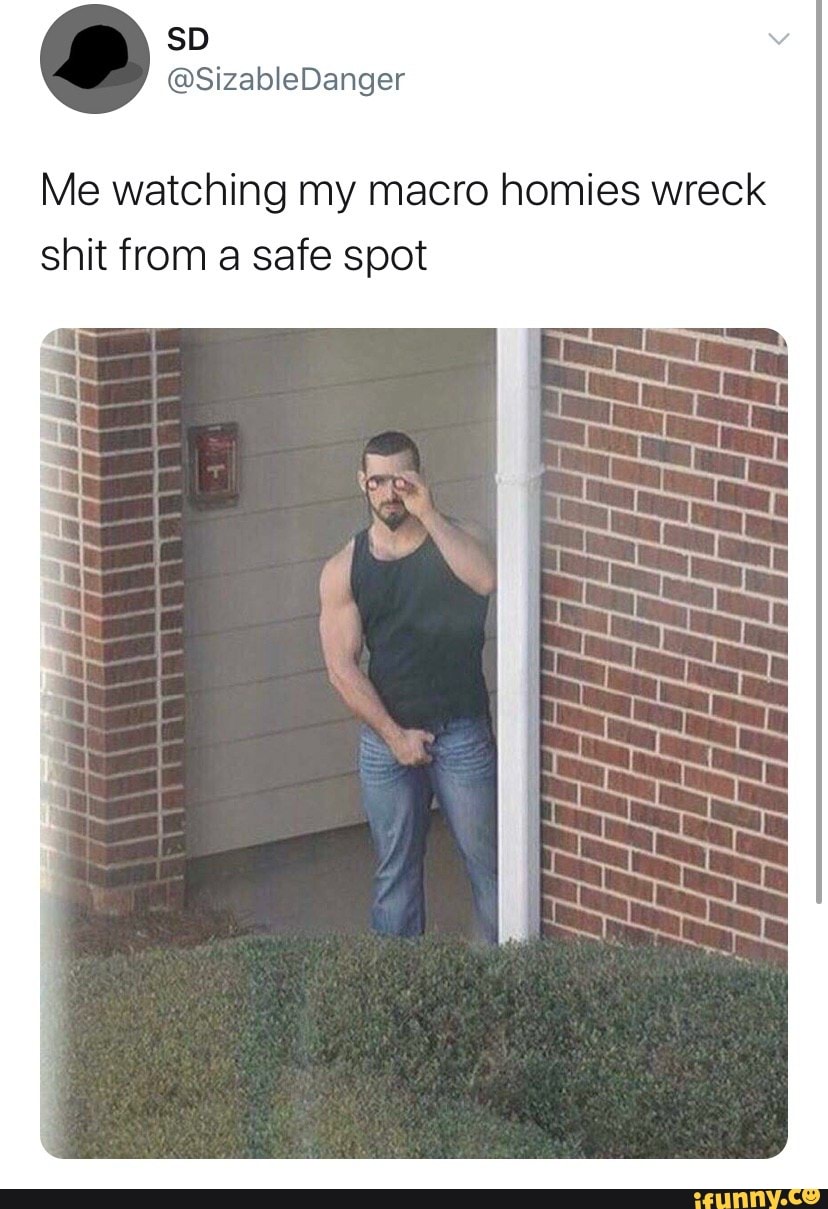 SD @SizableDanger Me watching my macro homies wreck hit from safe spot AP -  iFunny