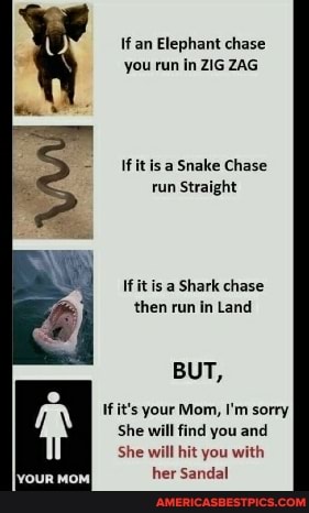 if an Elephant chase you run in ZIG ZAG
If it isa Snake Chase run Straight
Ifit is a Shark chase then run in Land
BUT,
If it's your Mom, I'm sorry
She will find you and
She will hit you with
MoM
her Sandal