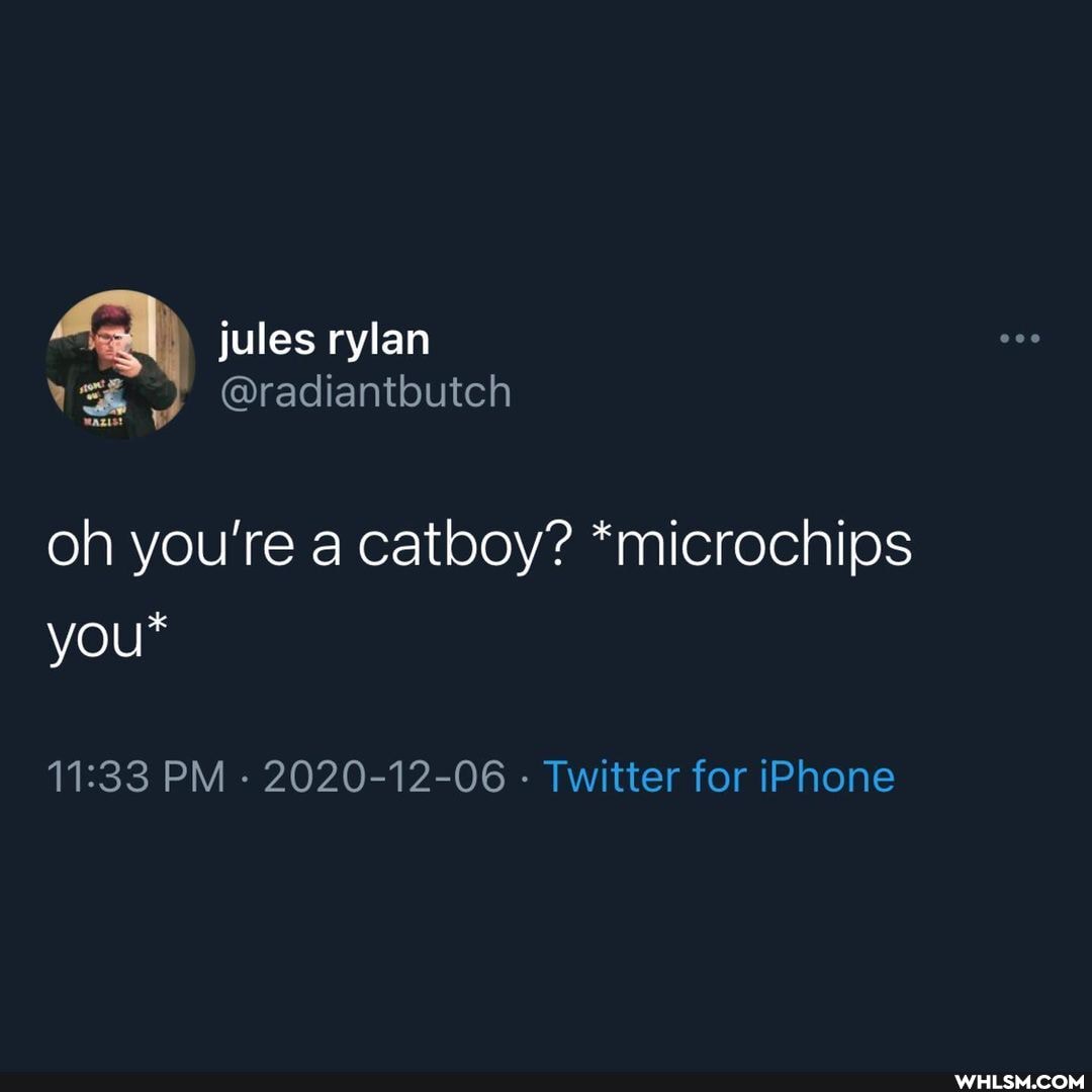 jules rylan
\ @radiantbutch
oh you're a catboy? *microchips you*
PM - 2020-12-06 - Twitter for iPhone