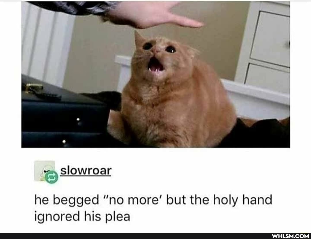 he begged "no more' but the holy hand ignored his plea