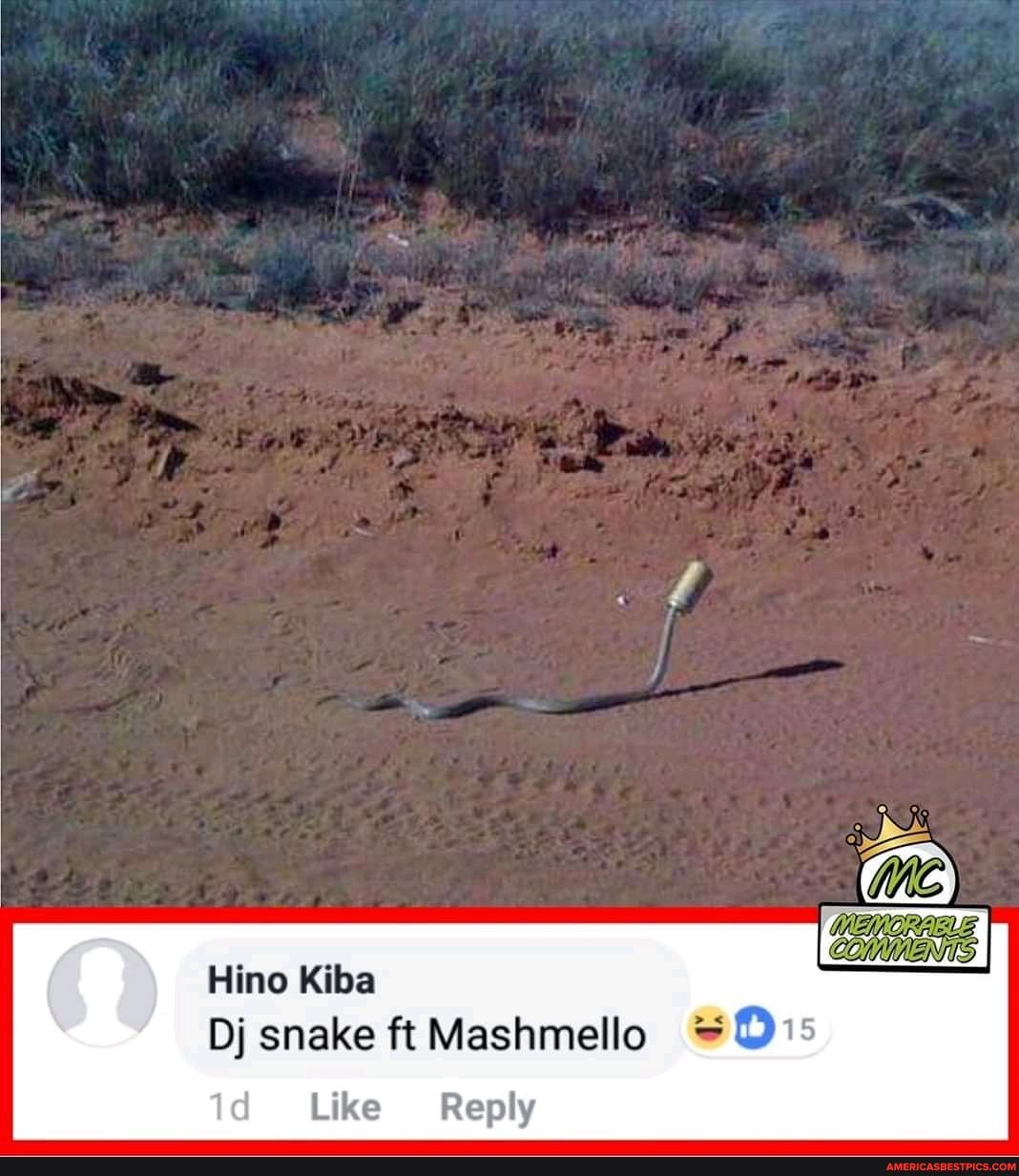 Hino Kiba
Dj snake ft Mashmello
id Like Reply