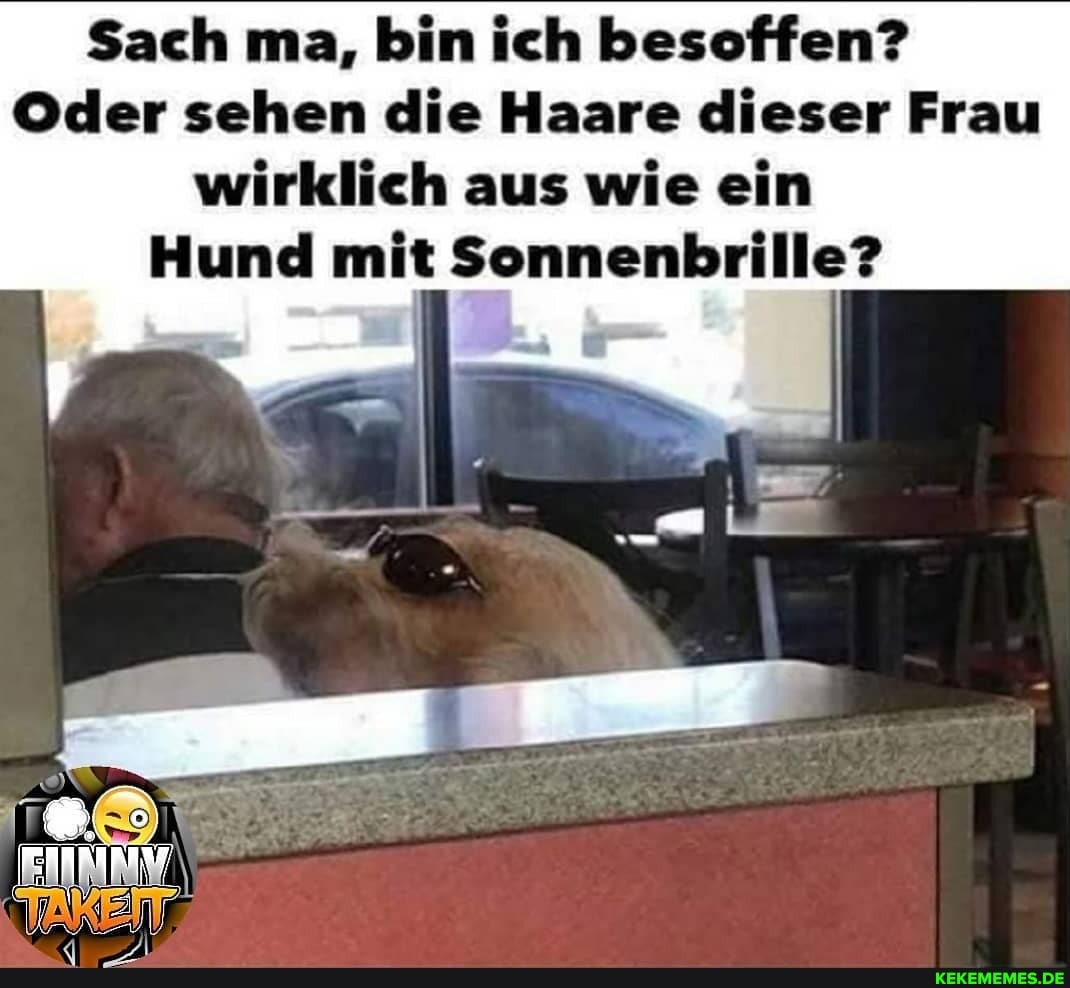 Sach ma, bin ich besoffen?
Oder sehen die Haare dieser Frau wirklich aus wie ein
Hund mit Sonnenbrille?