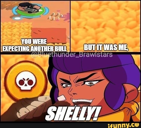 shelly meme