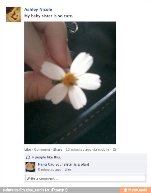 Ashley
5 4 people like this.
Hang Cao your sister is a plant
5
minutes ago Like