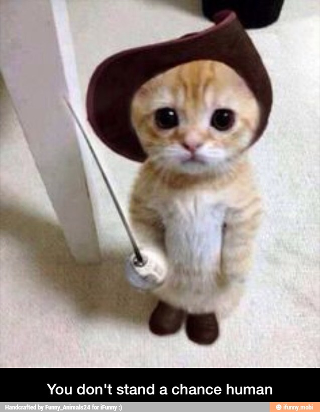 You don't stand a chance human - You don't stand a chance human
