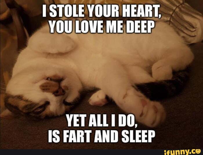 YET ALL DO,
IS FART AND SLEEP