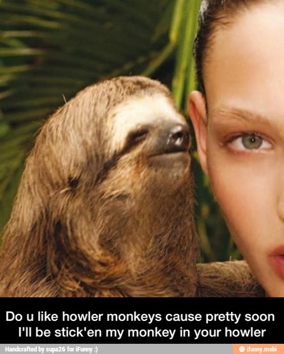 Do u like howler monkeys cause pretty soon
I'll be stick'en my monkey in your howler - Do u like howler monkeys cause pretty soon I'll be stick'en my monkey in your howler