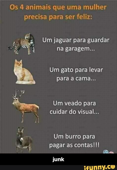 Os 4 animais que uma mulher precisa para ser feliz:
Um jaguar para guardar na garagem
Um gato para levar para a cama...
Um veado para
-s cuidar do visual...
Um burro para
pagar as contas!!!
Ba
junk - junk