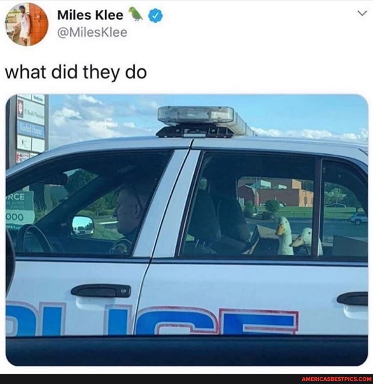 Miles Klee &
4,
what did they do
