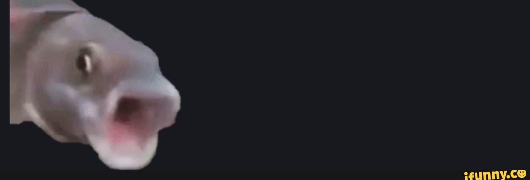 XDD