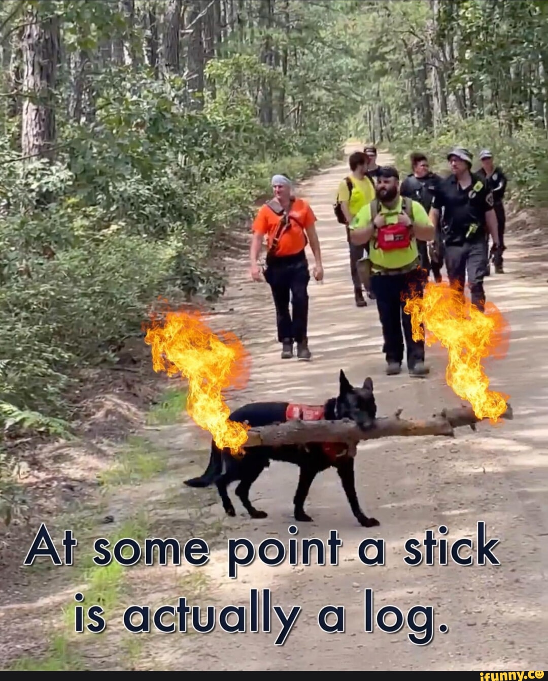 Paige Porcelain iFunny