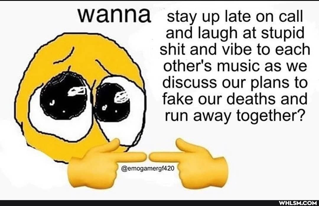 wanna. stay up late on call and laugh at stupid shit and vibe to each other's music as we discuss our plans to fake our deaths and run away together?
@emogamergf420