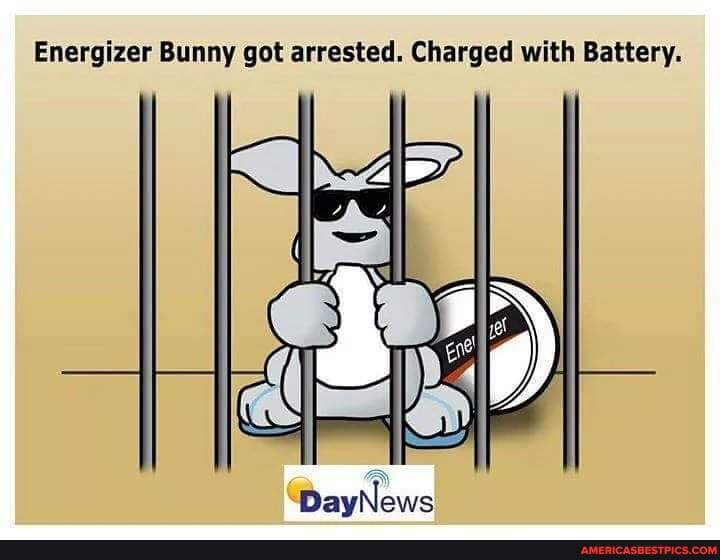 lenen Omdat schildpad Energizer Bunny got arrested. Charged with Battery. DayNews - seo.title