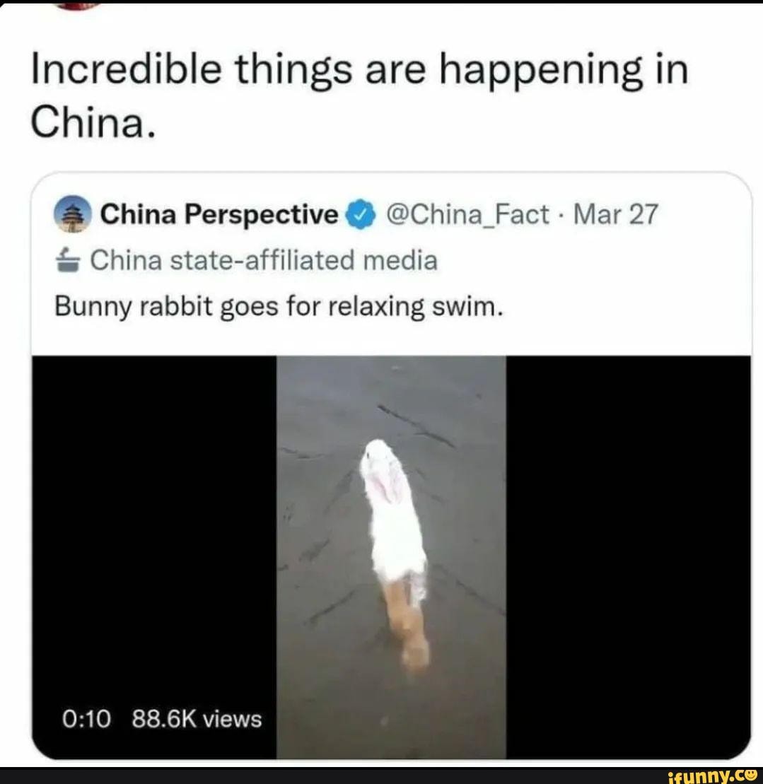 Bunnyrabbit memes. Best Collection of funny Bunnyrabbit pictures on iFunny