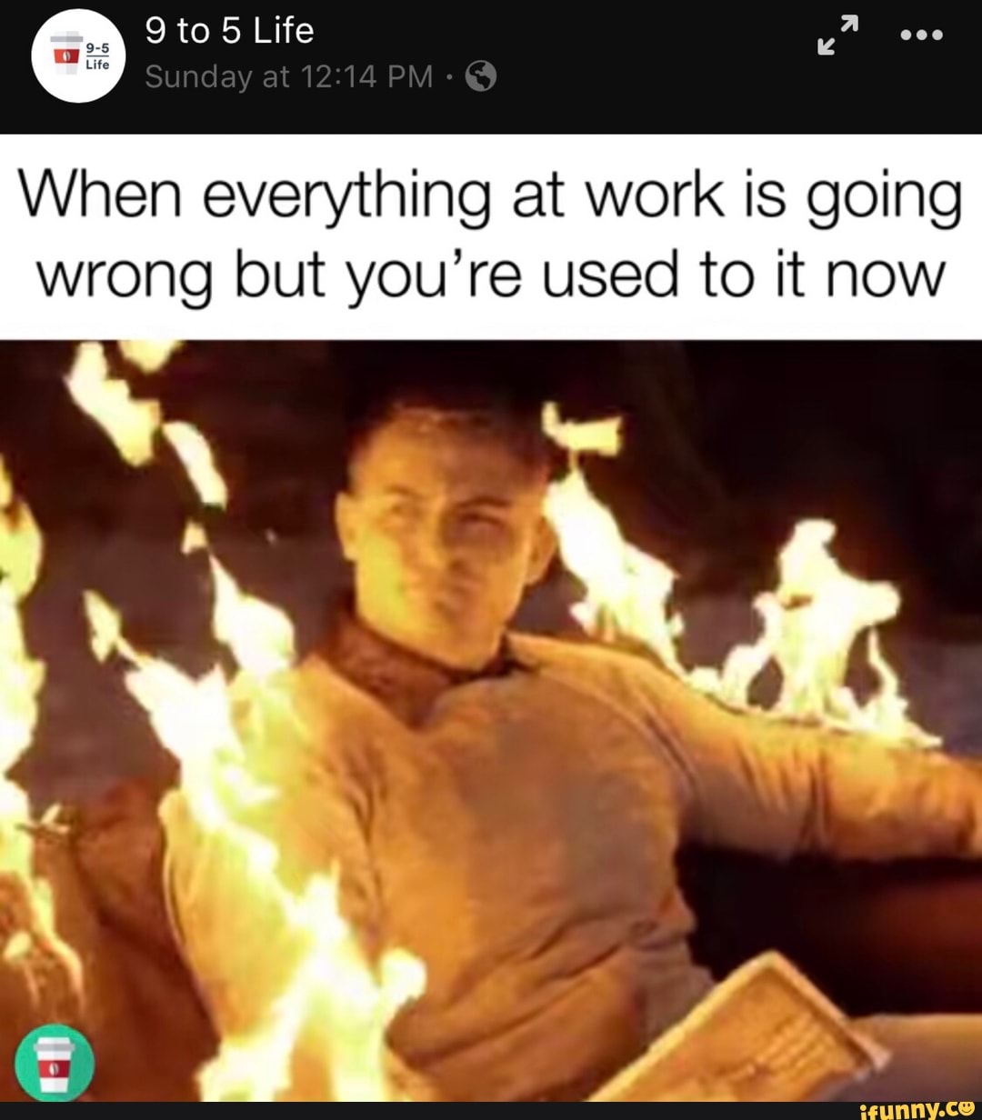 When everything at work is going wrong but you’re used to it now - iFunny