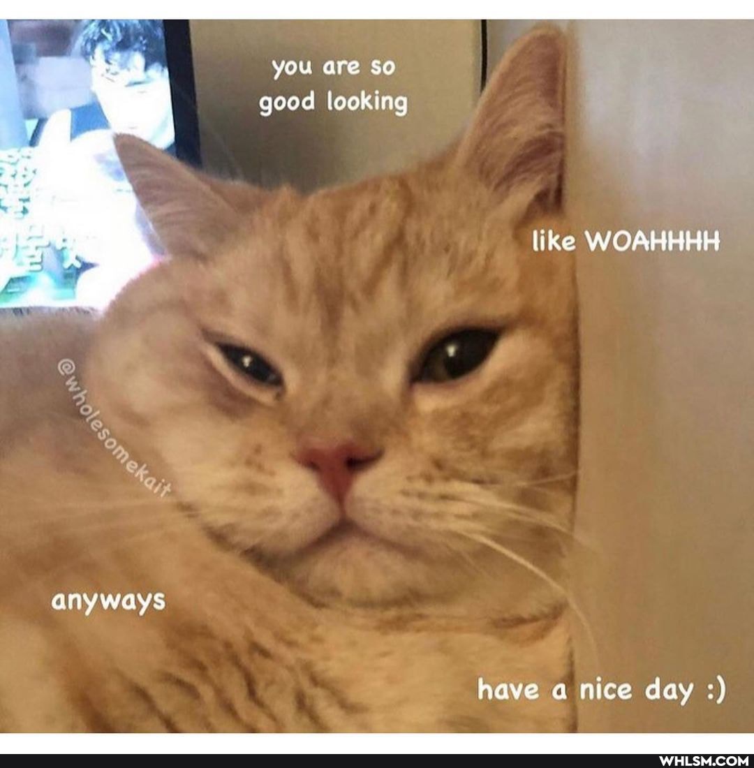 you are so good looking
like WOAHHHH
anyways
have a nice day